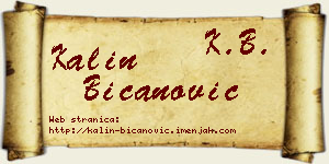 Kalin Bicanović vizit kartica